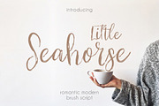 Little Seahorse Script, a Script Font by Creamy Script (Thumbnail 1 of 5)