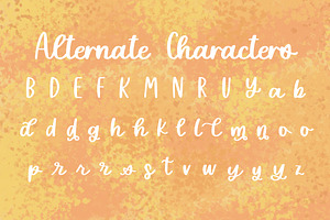 Delicate Daisy Script Font