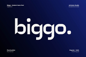 Biggo Modern Sans Font, a Sans Serif Font by Artiveko