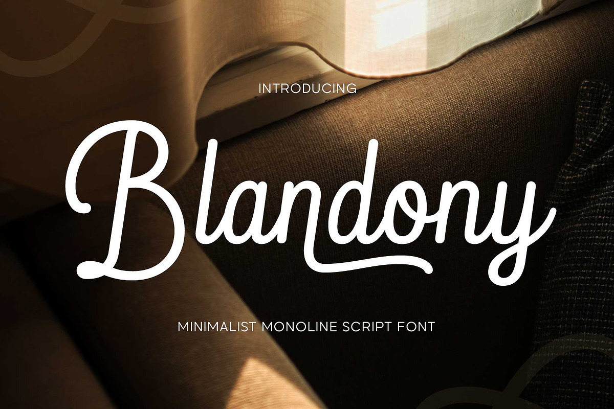 Blandony - Modern Vintage Monoline, a Script Font by Novitype (Photo 1 of 12)