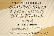 Onadia, a Script Font by Integritype Studio (Thumbnail 9 of 15)