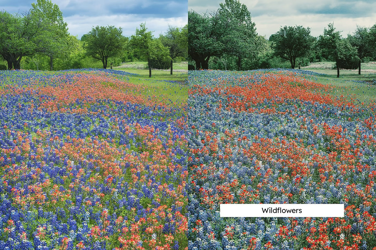 20 Meadow Lightroom Presets and LUTs, a Preset Add-On by Hubzway (Photo 9 of 10)