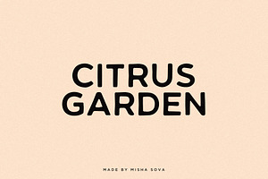 CITRUS GARDEN - Vintage Sans Serif