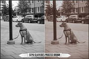 Authentic Sepia LUTs - Version 2, a Plug-in Add-On by Raztrend (Thumbnail 28 of 30)