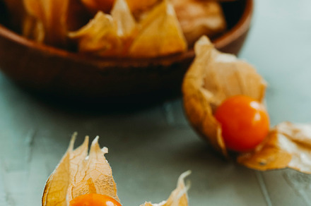 groundcherries with their husks, a Photo by Nito