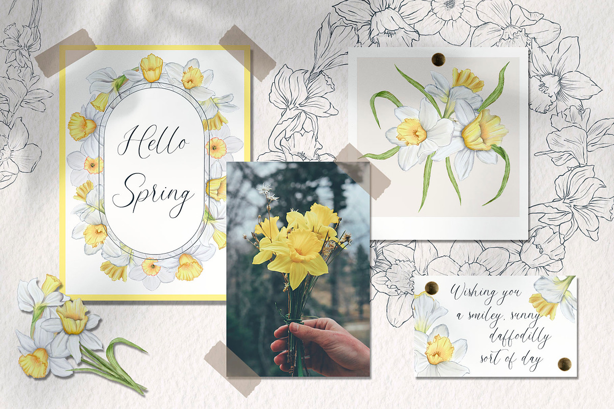 Watercolor and sketch daffodils, a Decorative Illustration by TatiArti (Photo 2 of 13)