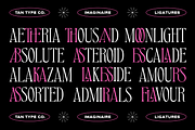 TAN - IMAGINAIRE, a Serif Font by TanType (Thumbnail 11 of 12)