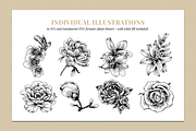 Botanical Illustration Bundle, an Illustration by Rough Edges Supply Co. (Thumbnail 2 of 17)