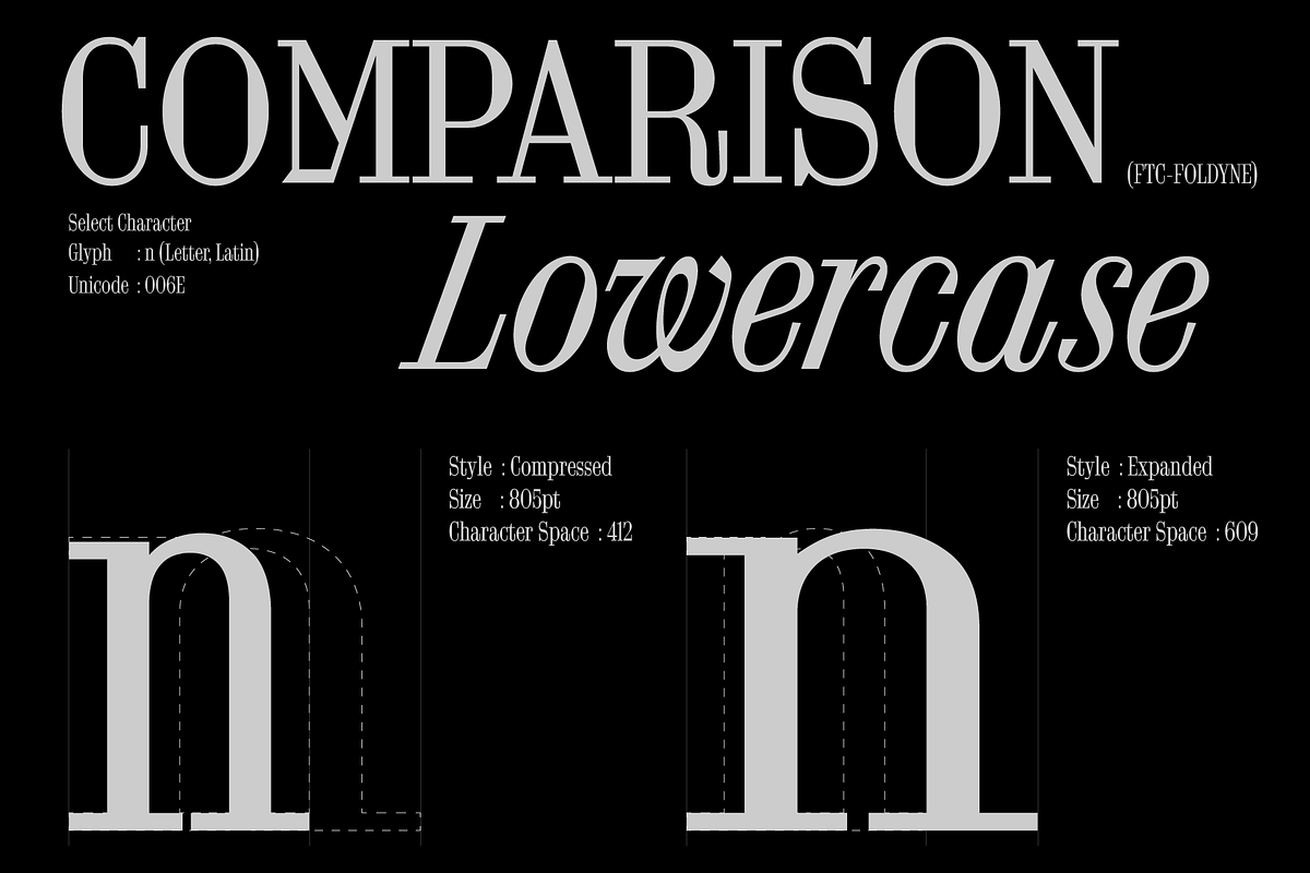 FTC Foldyne, a Serif Font by Fridaytype (Photo 4 of 12)