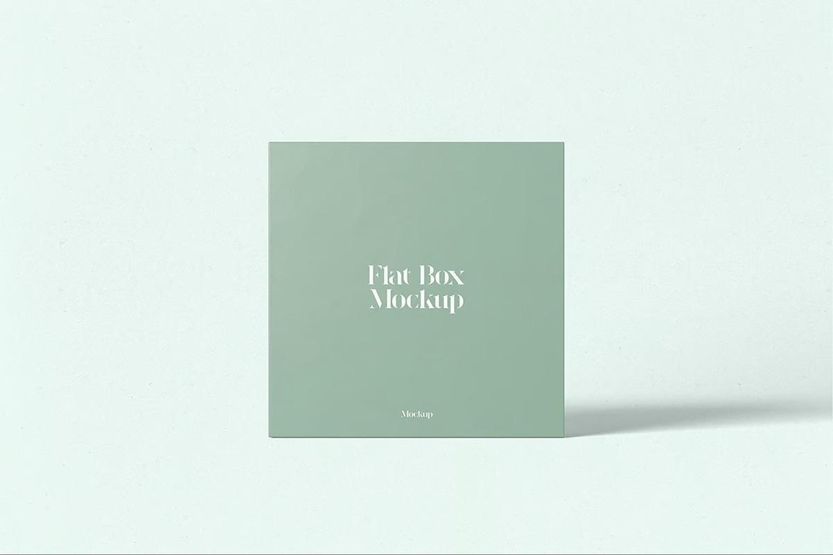 Flat Box Mockup, a Packaging Mockup by Se٧enStudio (Photo 5 of 6)