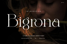 Bigrona Elegant Serif Font