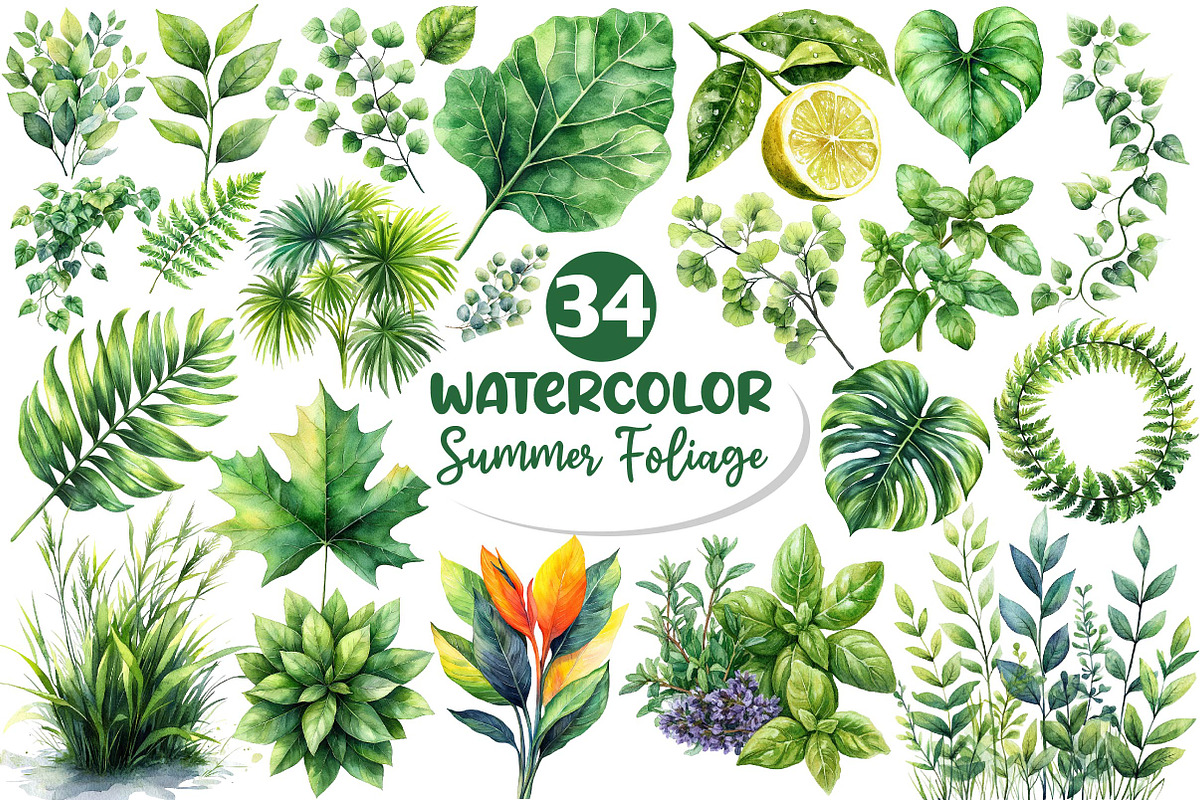 Green Summer Foliage Clipart, an Illustration by Dream Creation (Photo 1 of 4)