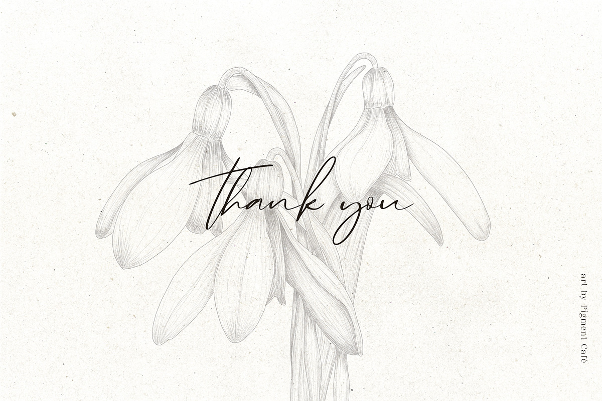 Snowdrop Flowers & Card Templates, an Illustration by Pigment Café (Photo 8 of 8)