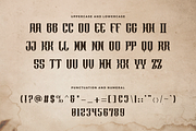 Orphic - Modern Vintage Font, a Handwritten Font by overlaytemplates (Thumbnail 4 of 5)