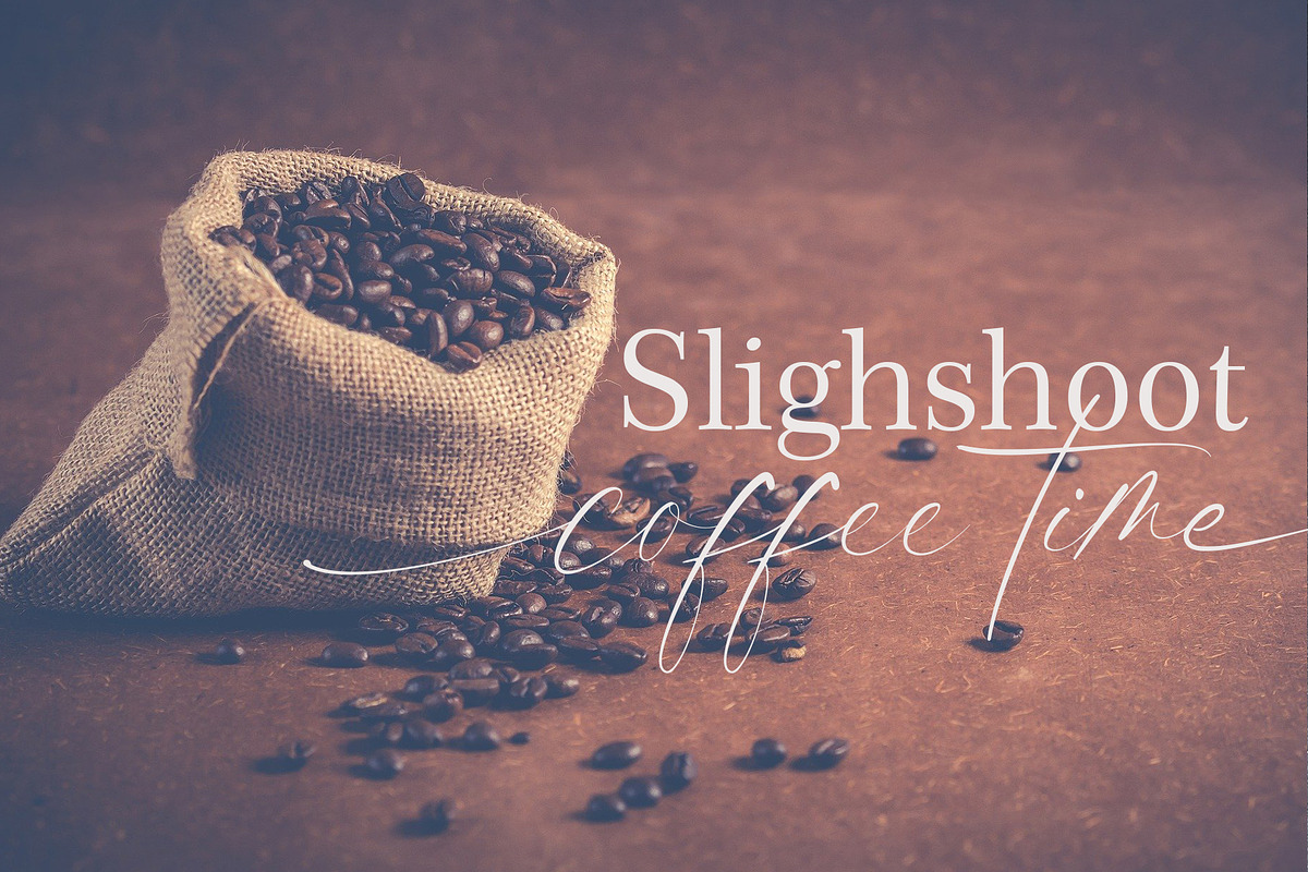 columbia, a Script Font by Teweka (Photo 3 of 12)