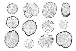 Tree Rings