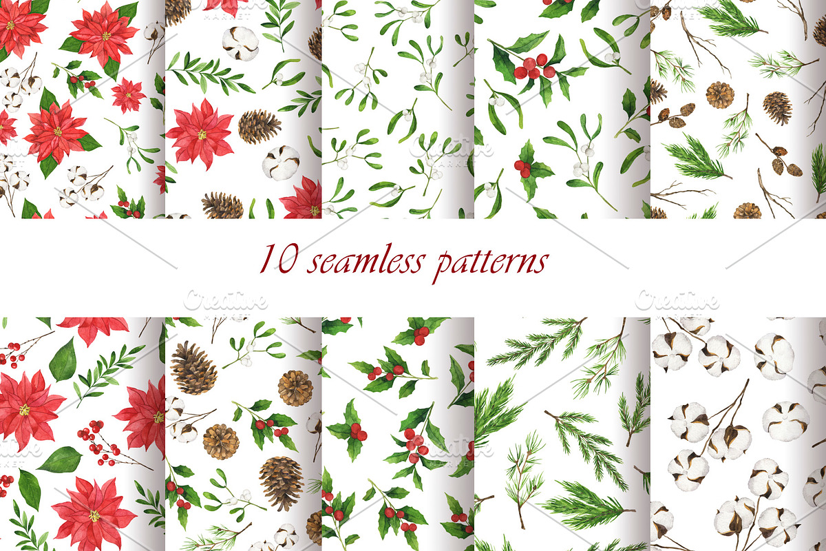 Christmas plant collection, an Illustration by Watercolor & sketches (Photo 6 of 9)