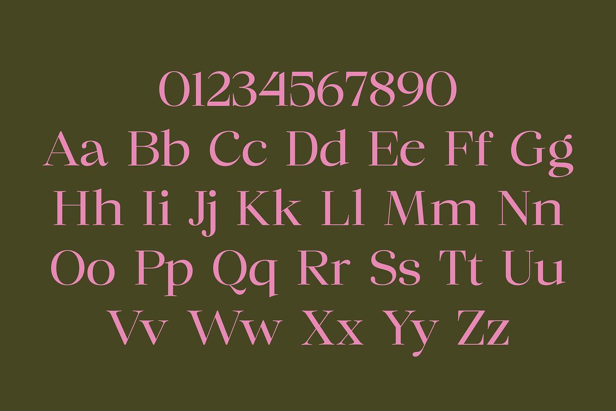 Chilton - Family Serif, a Serif Font by Marvadesign (Photo 10 of 12)