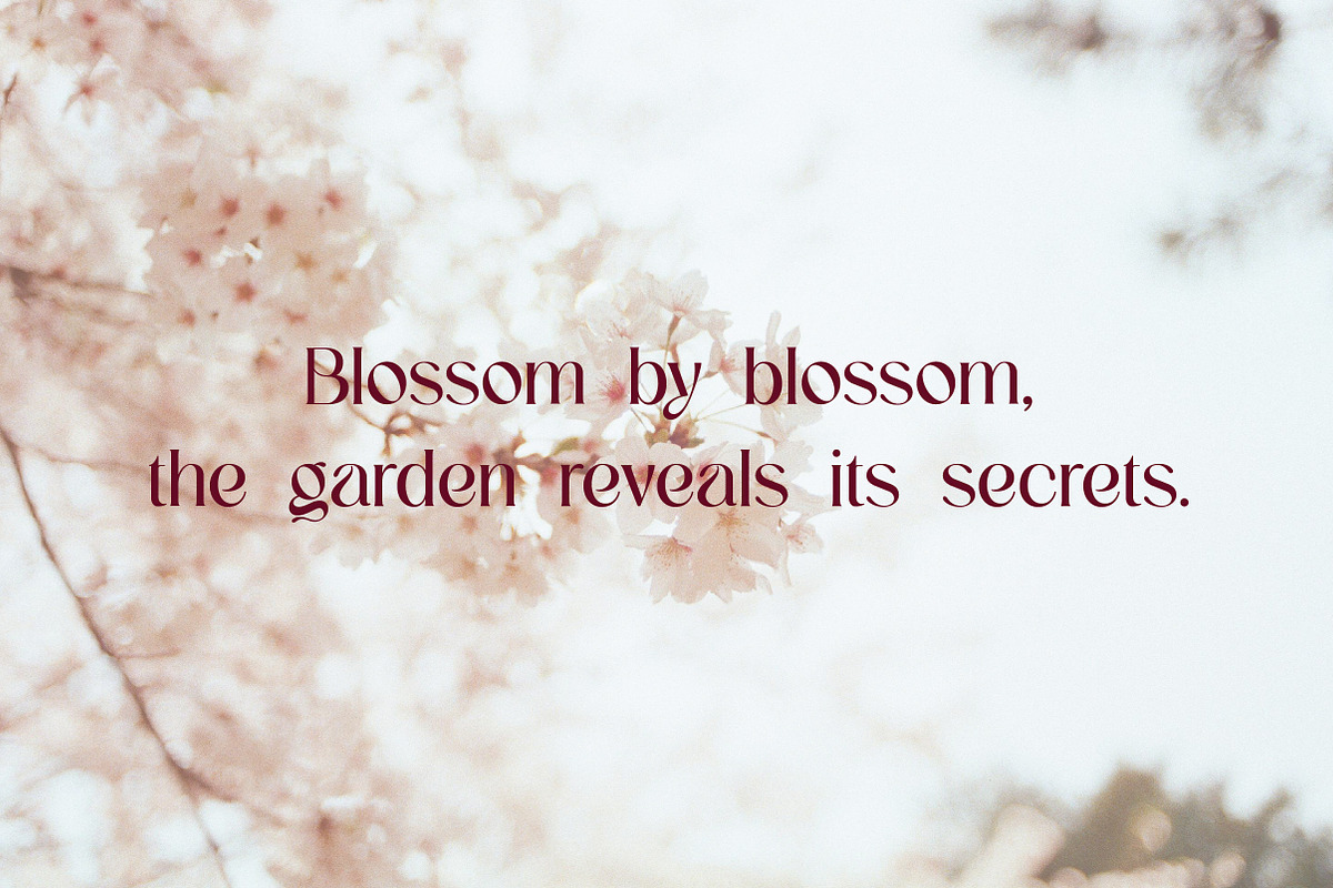 Mirezio | Sophisticated Modern Serif, a Serif Font by Artdez (Photo 4 of 5)