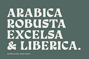 Something Rounded Serif Blackletter, a Blackletter Font by Colt Type Co (Thumbnail 6 of 7)