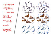 Sea Animals Clipart & Patterns, a Pattern Graphic by Lagmar Design (Thumbnail 6 of 12)