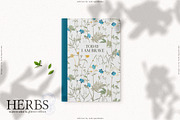 HERBS || Botanica & Glitter Effect, an Illustration by nadispasibenko (Thumbnail 7 of 8)