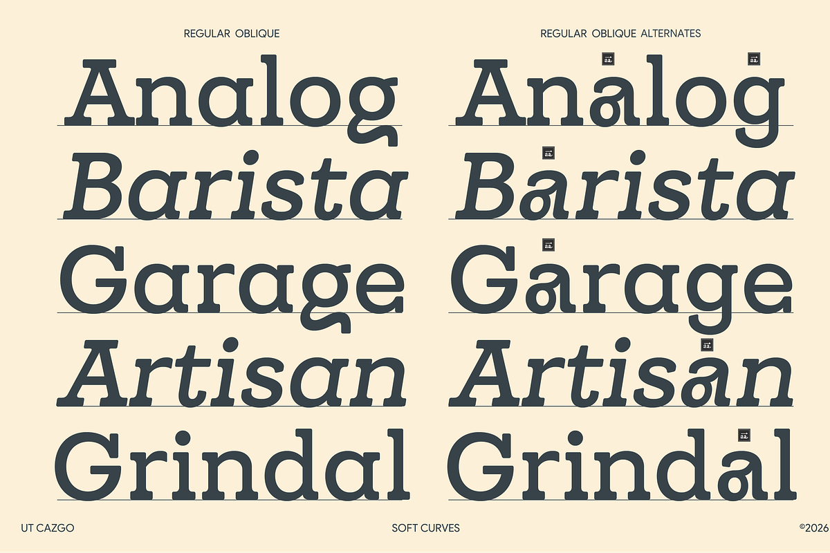 UT Cazgo - A Stylish Slab Serif, a Slab Serif Font by Universitype (Photo 3 of 12)
