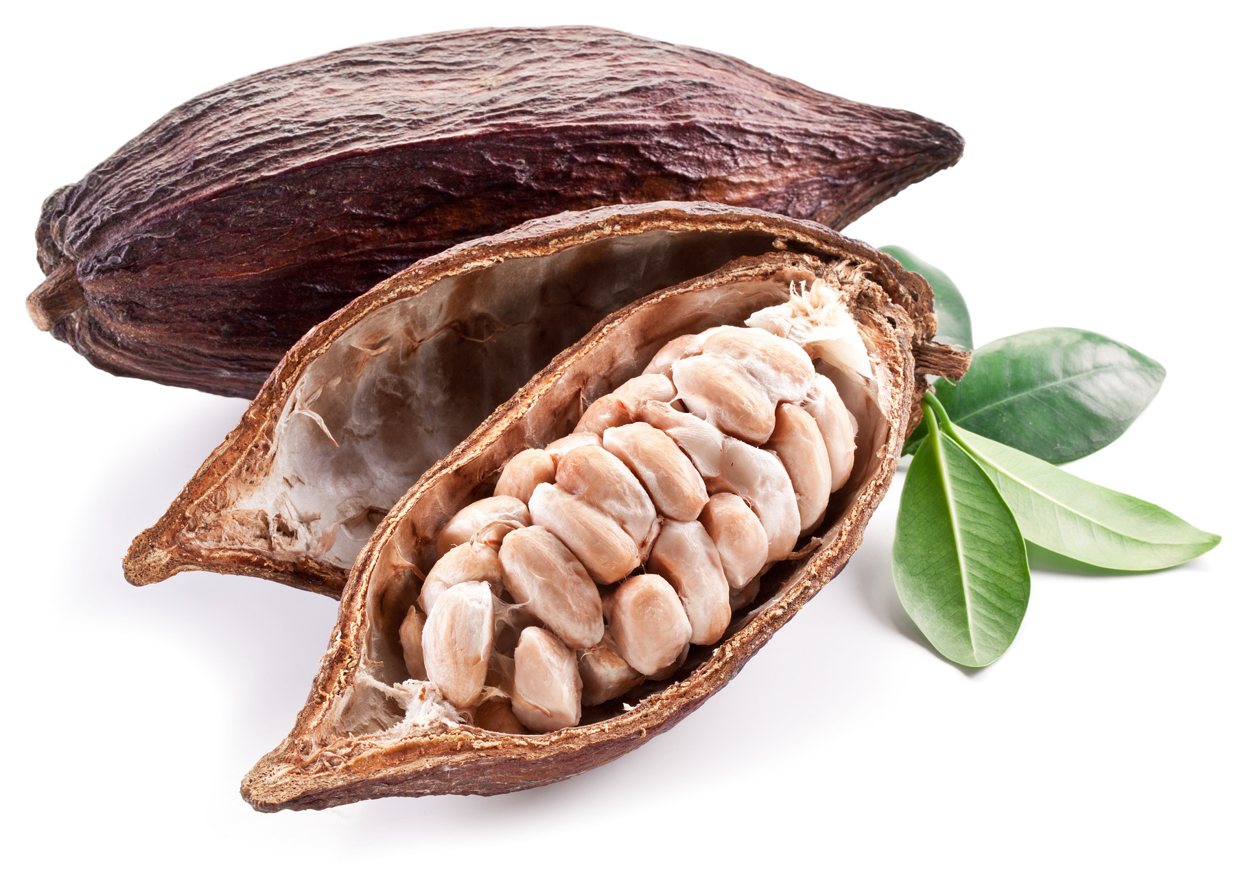 Cocoa pod, a Food & Drink Photo by Volff