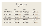 Elegant Serif - Roman Escort, a Serif Font by Font Liner (Thumbnail 10 of 14)