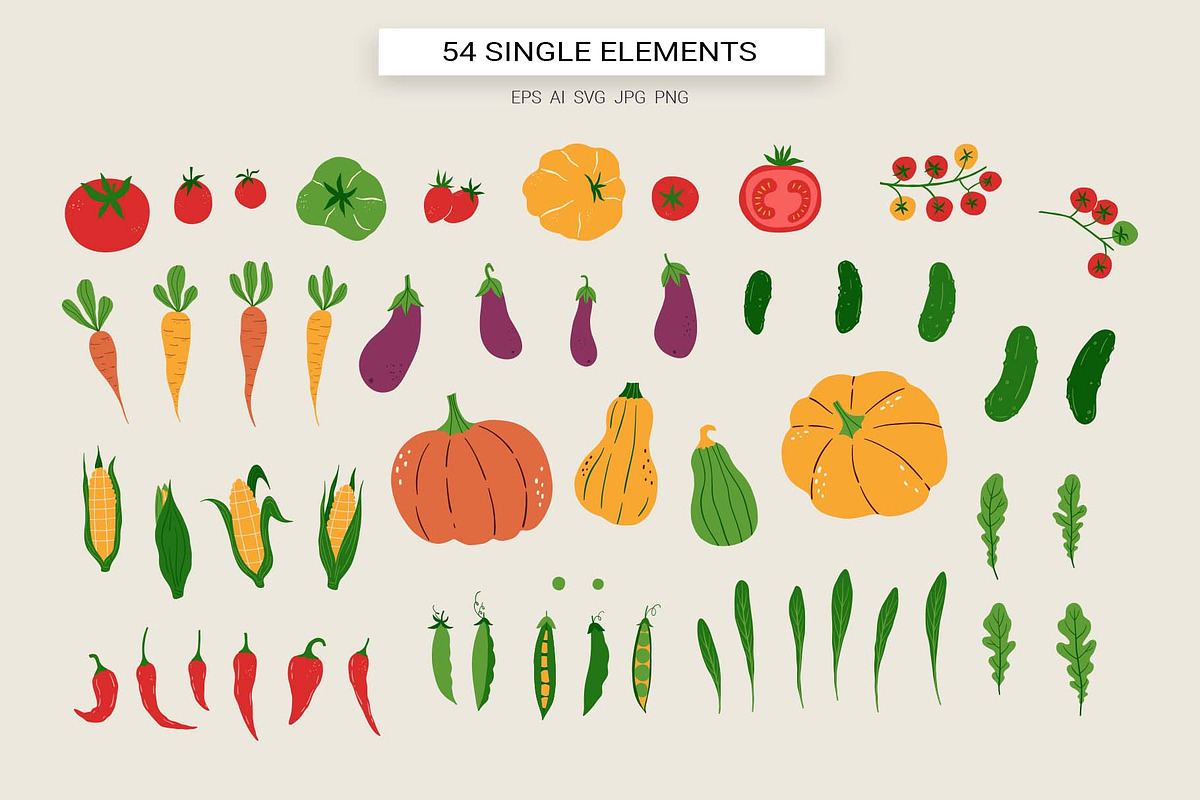 Farm Vegetables | 100% Hand drawn, a Food Illustration by Irina Ostapenko (Photo 4 of 10)