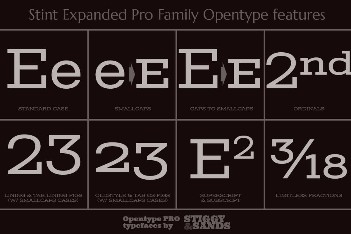 Stint Expanded Pro Family preview 4