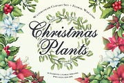 Christmas plants. Cliparts+ wreaths., an Illustration by OlyaGutArt (Thumbnail 1 of 7)