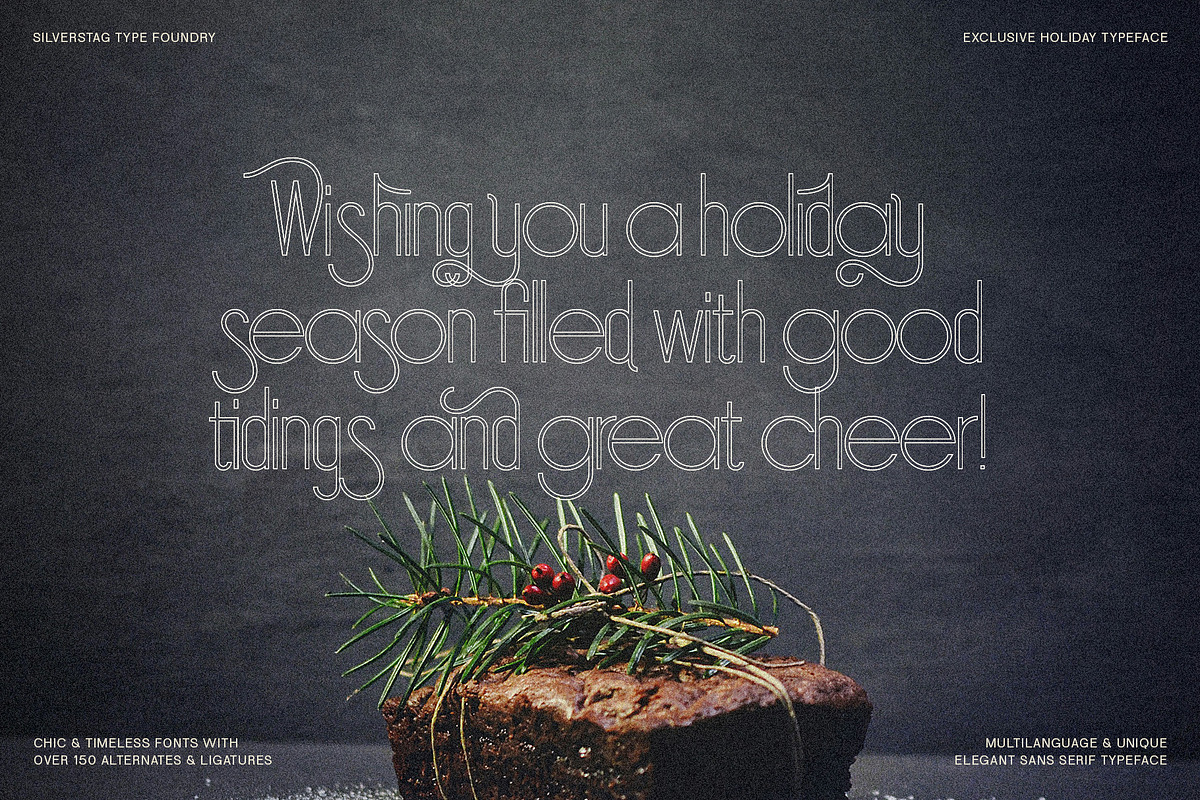 SLTF Holiday Whispers Typeface, a Sans Serif Font by SilverStag Type Foundry (Photo 15 of 20)
