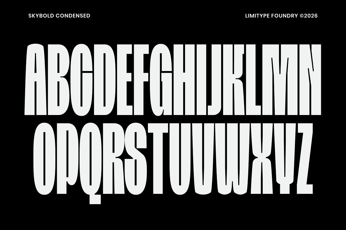 Skybold - Condensed Font, a Sans Serif Font by limitype (Photo 8 of 12)