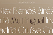 Allegra de Amour - Display, a Sans Serif Font by Typetemp Studio (Thumbnail 19 of 22)