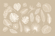 Tropical florals collection, an Illustration by adehoidar (Thumbnail 2 of 10)