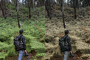 10 Cinematic Greens Lightroom Preset, a Preset Add-On by RamsaGraphi (Thumbnail 7 of 10)