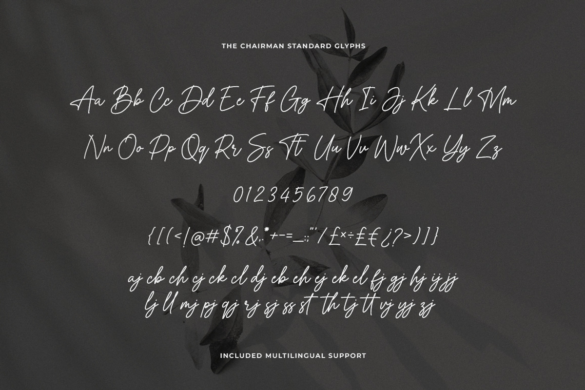 The Chairman Modern Signature Font, a Script Font by Heinzel Std (Photo 22 of 23)