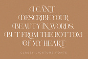 Aroney Family | 5 Style Fonts, a Serif Font by IM Studio (Thumbnail 8 of 12)