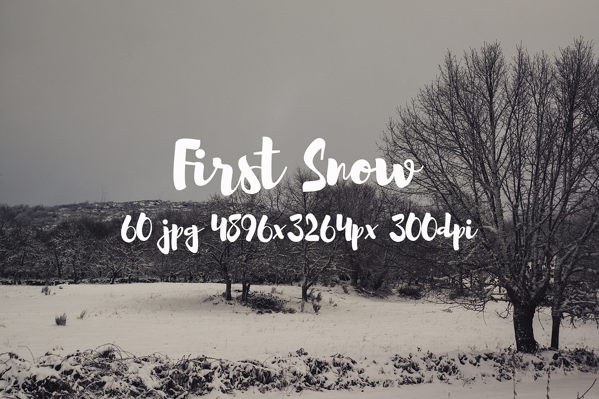 First Snow, a Templates & Theme by ApertureVintage (Photo 19 of 26)