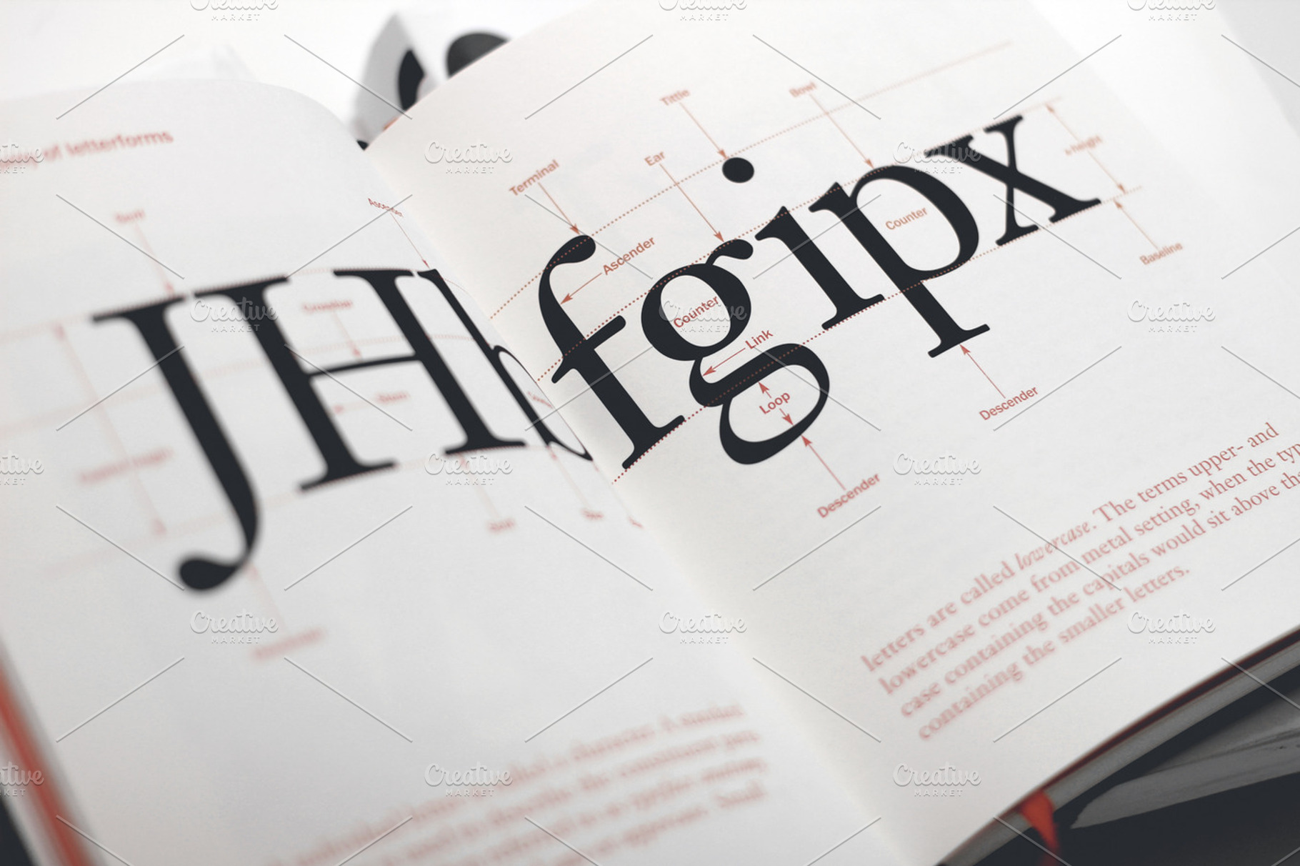 Learning Typography, a School & Education Photo by stellarshots