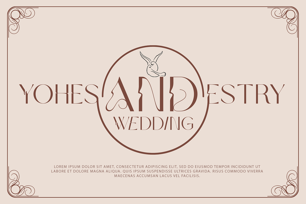 Auristela Modern Font, a Font by Fannan Studio (Photo 4 of 6)