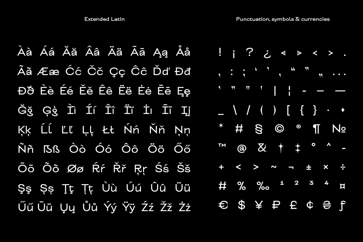 TT Alientz, a Serif Font by TypeType (Photo 12 of 15)
