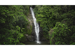 Majestic waterfall cascading through, an Animal Photo by Goinyk