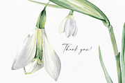 Watercolor Snowdrops, an Object Illustration by Olga Koelsch (Thumbnail 8 of 8)