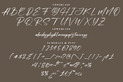 Hunterlost Modern Signature Font, a Script Font by Letterena Studios Script (Thumbnail 13 of 15)