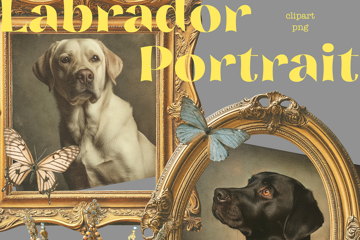 Labrador Portrait, an Object Graphic by TheCuteShop (Photo 3 of 5)