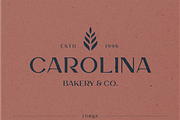 ETHIQUE, a Sans Serif Font by Bagerich Type Foundry (Thumbnail 5 of 8)