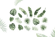 Tropical vector pattern & 12 leaves., a Pattern Graphic by Anna Smirnova (Thumbnail 5 of 5)