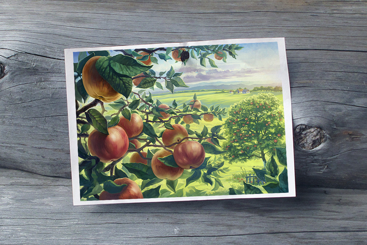 Apple set, a Food Illustration by Countryside life (Photo 11 of 12)